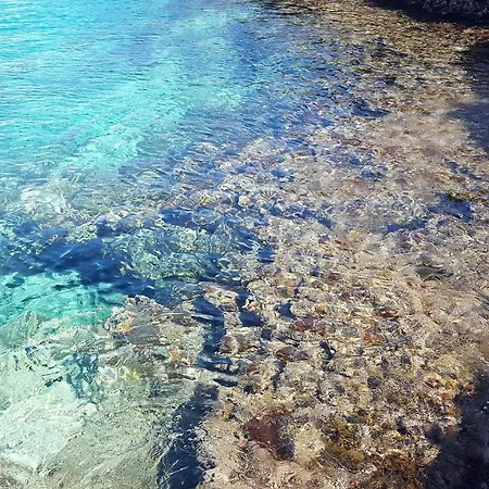 فيلة Aurora Corsano (Apulia)