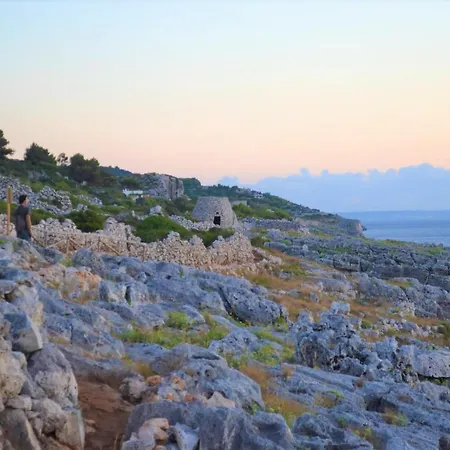 Aurora * 코르사노